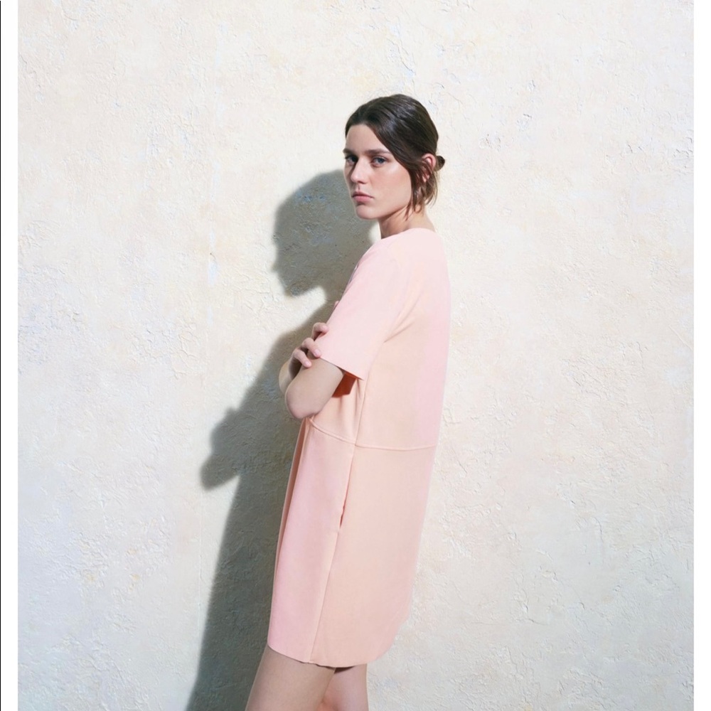New Zara FAUX SUEDE DRESS - light pink